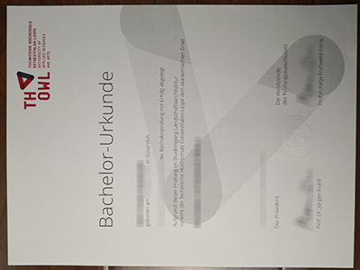 Obtain a fake TH OWL degree in Germany,the latest version.在德国获得假的TH OWL学位,最新版本。