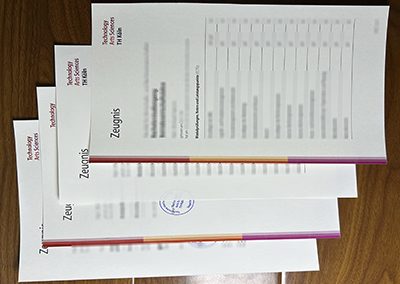 Is it possible to obtain a TH Köln transcript of Germany? 是否可以获得德国科隆工业大学的成绩单？
