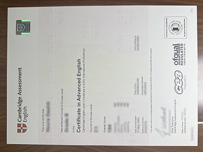 Can i obtain a fake Cambridge CAE Certificate for a better job? 我可以获得伪造的剑桥 CAE 证书以获得更好的工作吗?