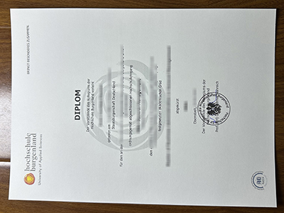 Is it possible to buy a fake Hochschule Burgenland diploma in 2025? 2025 年可以购买假的布尔根兰应用技术大学文凭吗？