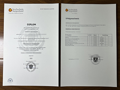 Where can i obtain a fake Hochschule Burgenland diploma and transcript in 2025? 我可以在哪里获得 2025 年的假布尔根兰应用技术大学文凭和成绩单?